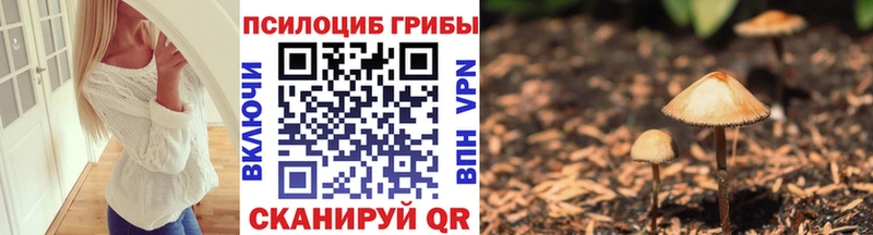 Псилоцибиновые грибы MAGIC MUSHROOMS  Купить закладки  Райчихинск 